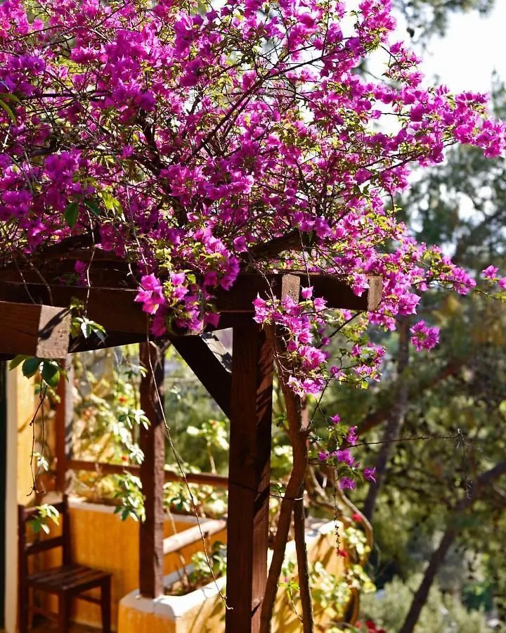 Symbola Oludeniz Beach Hotel