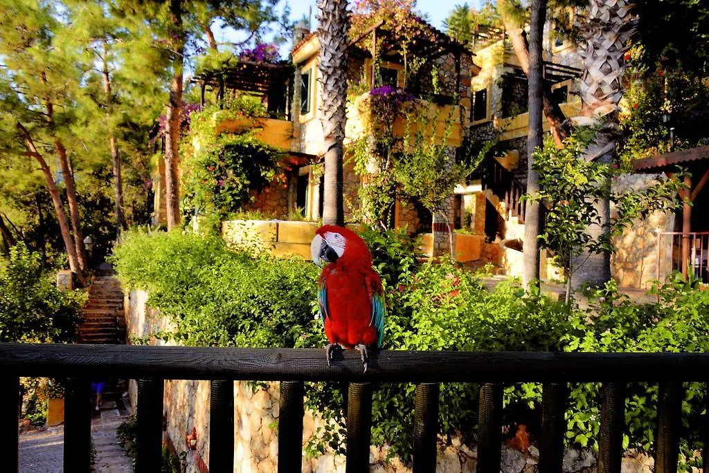 Symbola Oludeniz Beach Hotel